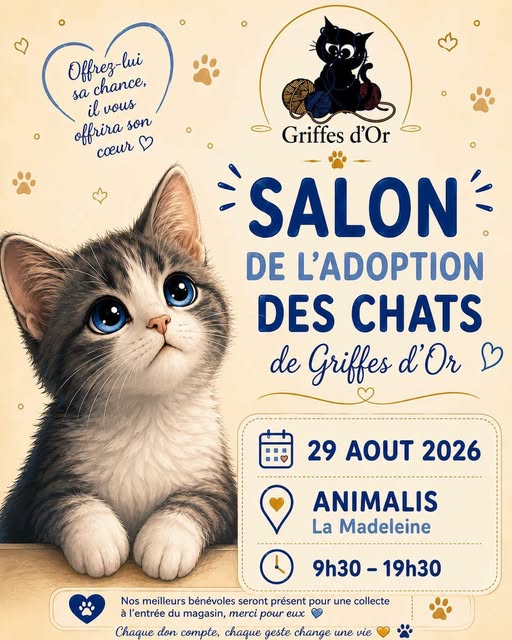 Chat à adopter — Adoption d'animaux en France Paris