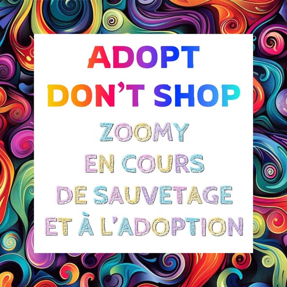 Animal à adopter