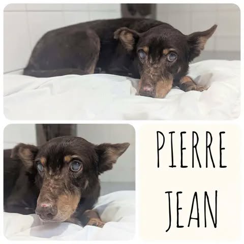 Pierre Jean