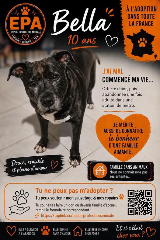 Bella — Adoption d'animaux en France Paris