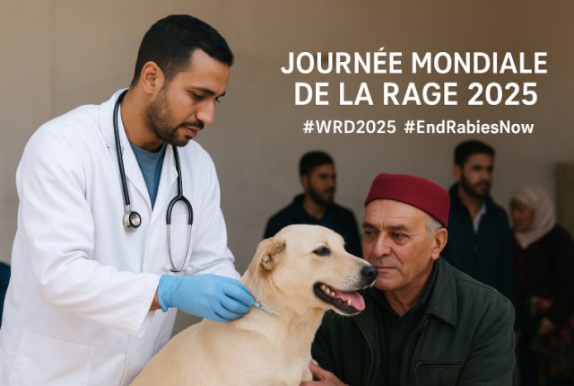 Mobilisation exceptionnelle des vétérinaires tunisiens : Ensemble pour éradiquer la rage en 2025 🐾